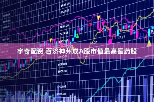 宇奇配资 百济神州成A股市值最高医药股
