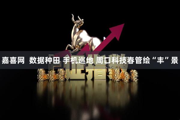 嘉喜网  数据种田 手机巡地 周口科技春管绘“丰”景